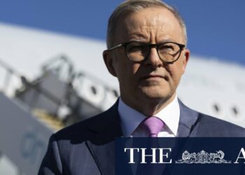 Albanese flies to South America on trade rescue mission after Trump victory