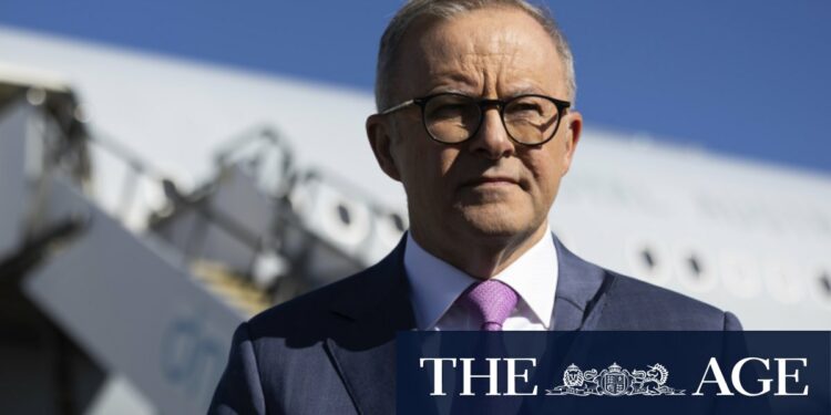 Albanese flies to South America on trade rescue mission after Trump victory