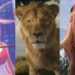All the news and trailers out of D23 Brazil