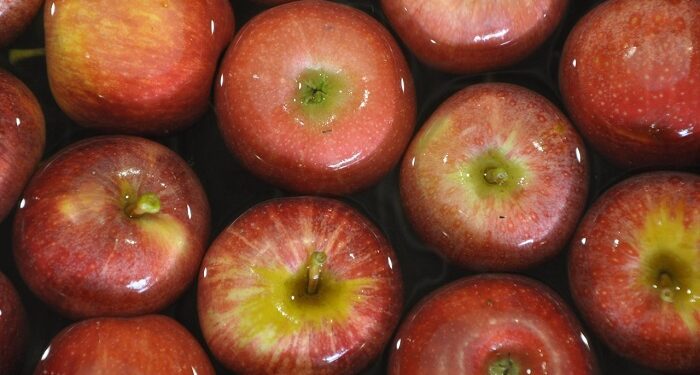 An in-depth analysis of Latin America's apple industry