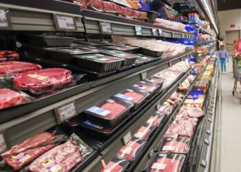 Arizona, Mexico traders worry about effects of Trump's 25% tariff plan