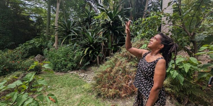 Barbados Is Making A Slow Turn Toward Sustainability. But Is There Enough Time?