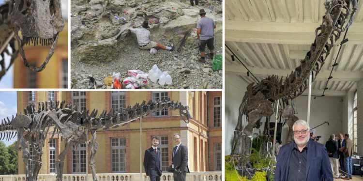 Biggest and ‘most complete’ dinosaur skeleton to go on sale on November 16