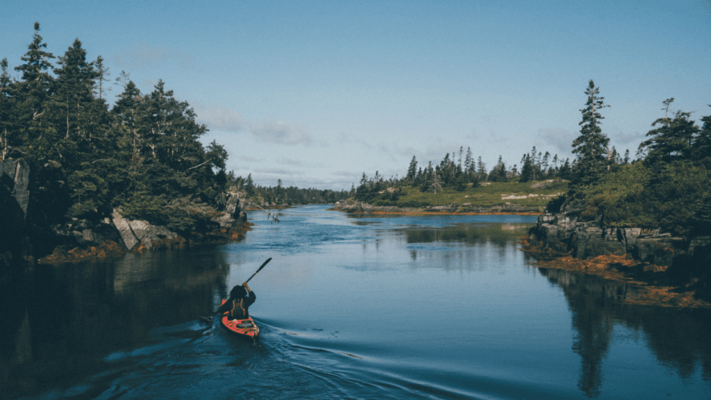 Black Loyalists Sailed to Nova Scotia for Freedom. I Traced Their Path to Find if They Ever Got It