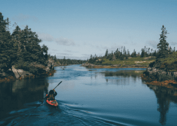 Black Loyalists Sailed to Nova Scotia for Freedom. I Traced Their Path to Find if They Ever Got It