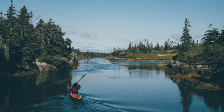 Black Loyalists Sailed to Nova Scotia for Freedom. I Traced Their Path to Find if They Ever Got It