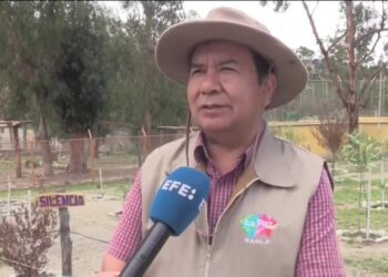 Bolivia conmemora el Día Internacional del Jaguar con acciones para proteger a este felino