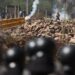 Bolivia slides towards anarchy as two bitter rivals prepare for showdown 2025 election