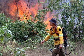 Fotografía de archivo de un bombero trabaja apagando un incendio en la comunidad de Palestina (Bolivia). EFE/ Juan Carlos Torrejón
