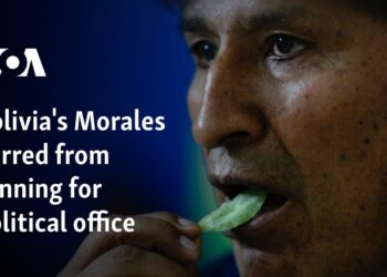 Bolivia's Morales barred from running for political office