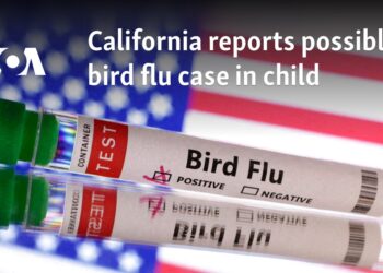 California reports possible bird flu case in child