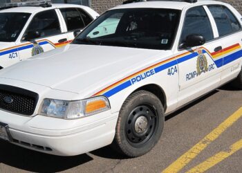 Canada Police Arrests Three For Protesting Against 'Khalistani Intimidation' After Attack On Hindu Temple In Brampton