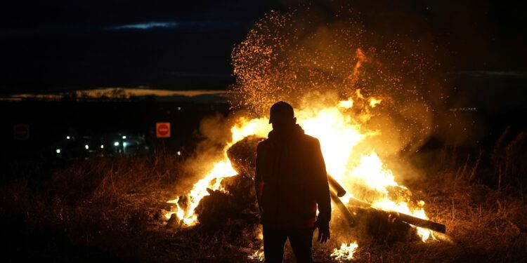 Carrefour apologizes to Brazil for CEO's remarks, and beef is headed back to its stores