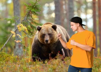 Certain New Jerseyans think they could fight a bear: are you one?