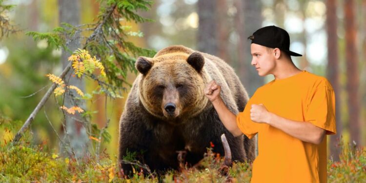 Certain New Jerseyans think they could fight a bear: are you one?