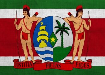 Chinalco to bring bauxite mining back to West Suriname