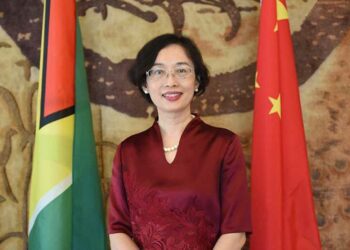 China's economy showing stability under the new concept of high-quality development