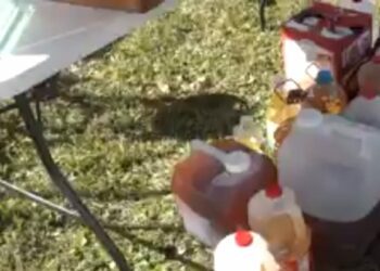 City of St. Augustine holds a recycling event on Friday, Nov. 15