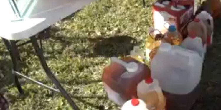 City of St. Augustine holds a recycling event on Friday, Nov. 15