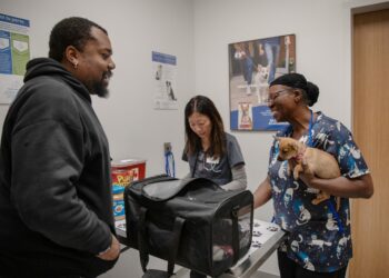 Colorado creates new veterinary position