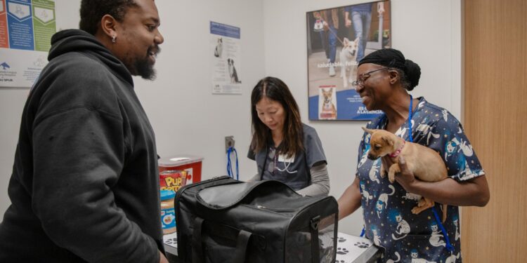 Colorado creates new veterinary position