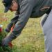 Coordinators prep for Dec. 14's Wreaths Across America