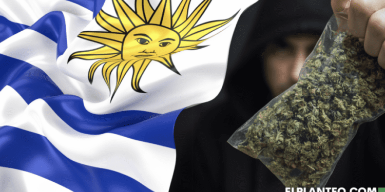 Criminal Organizations Lose $30M Annually As Uruguay's Legal Cannabis Expands, But Some Say The Government Is Now The Criminal