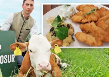 Dispute over Mercosur pact - Farmers criticize: hormone-laced schnitzel from Brazil