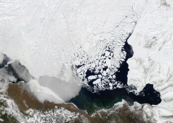 Doubling Down on ‘Too Much Heat’