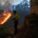 Ecuador declares 60-day state of emergency to help battle wildfires | Climate News
