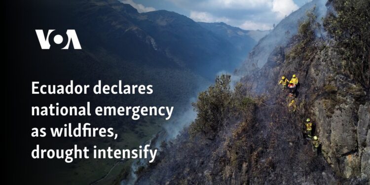 Ecuador declares national emergency as wildfires, drought intensify