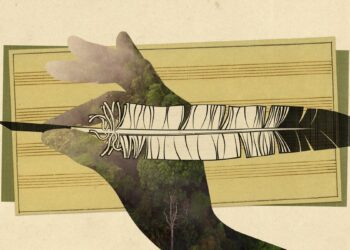 Ecuador's cloud forest has legal rights – and maybe a song credit