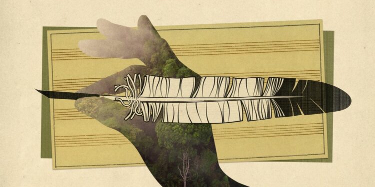 Ecuador's cloud forest has legal rights – and maybe a song credit