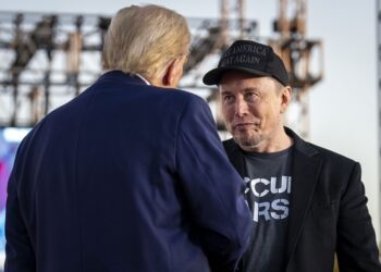 Elon Musk lawyer says US$1 million voter giveaway winners are not random