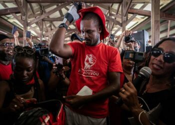 En Martinique, trois membres du collectif de lutte contre la vie chère interpellés