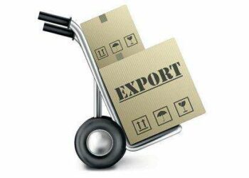 Export earnings down 8.4% in first six months of 2024 — STATIN