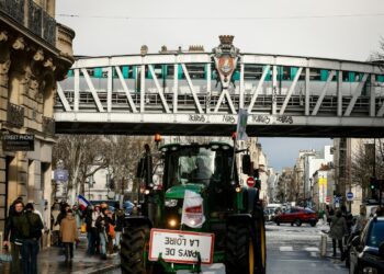 French farmers protest EU-Mercosur deal that will increase South American imports