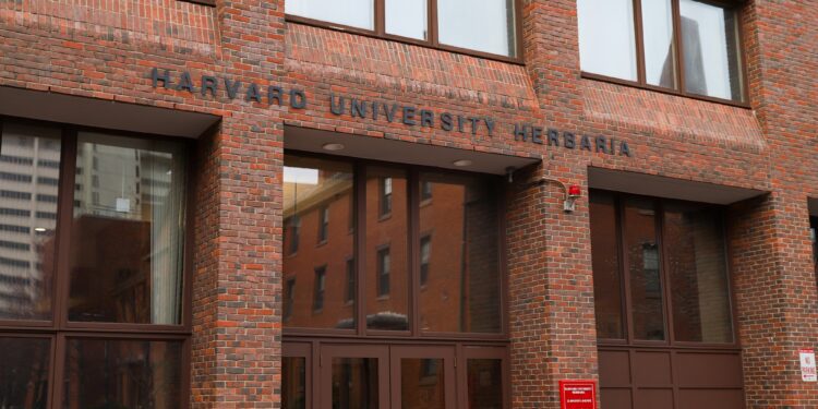 Harvard, UMiami Researchers Debunk Ecuador Mass Extinction Event in New Study | News