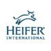 Heifer International Calls for Action on Climate Resilience in Wake of Tropical Depression Sara in Honduras