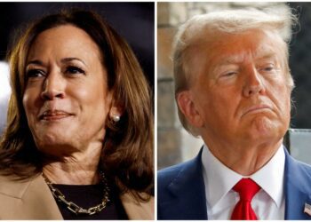 Here’s how each state voted for Trump and Biden