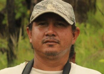 How Are Indigenous Groups In Guyana Saving The Bird They ‘Discovered?’