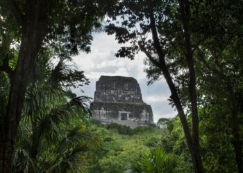 How a PhD Student Discovered a Lost Mayan City From Hundreds of Miles Away