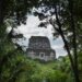 How a PhD Student Discovered a Lost Mayan City From Hundreds of Miles Away