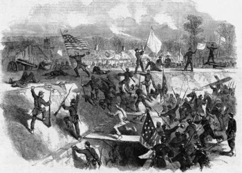 How to survive the forthcoming rule of Trump