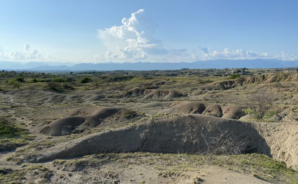 Huge terror bird fossil offers new insight into wildlife in South America 12 million years ago