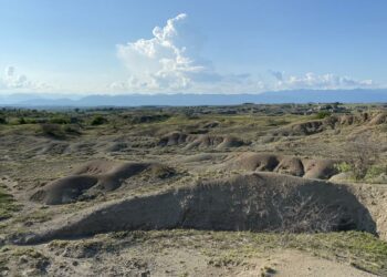 Huge terror bird fossil offers new insight into wildlife in South America 12 million years ago