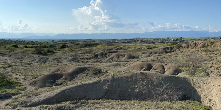 Huge terror bird fossil offers new insight into wildlife in South America 12 million years ago