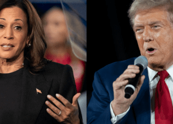 In Michigan and the US, Election 2024 is all about uncertainty