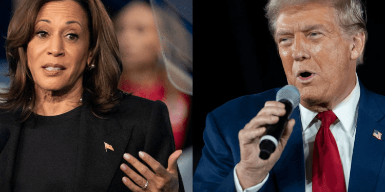 In Michigan and the US, Election 2024 is all about uncertainty