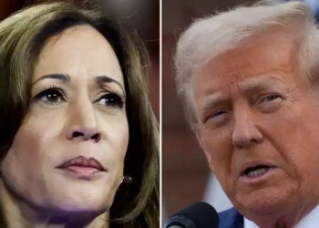 Indian Americans in US Election 2024 Live Updates: From Democrats to Trump? Indian-Americans navigate changing political landscape